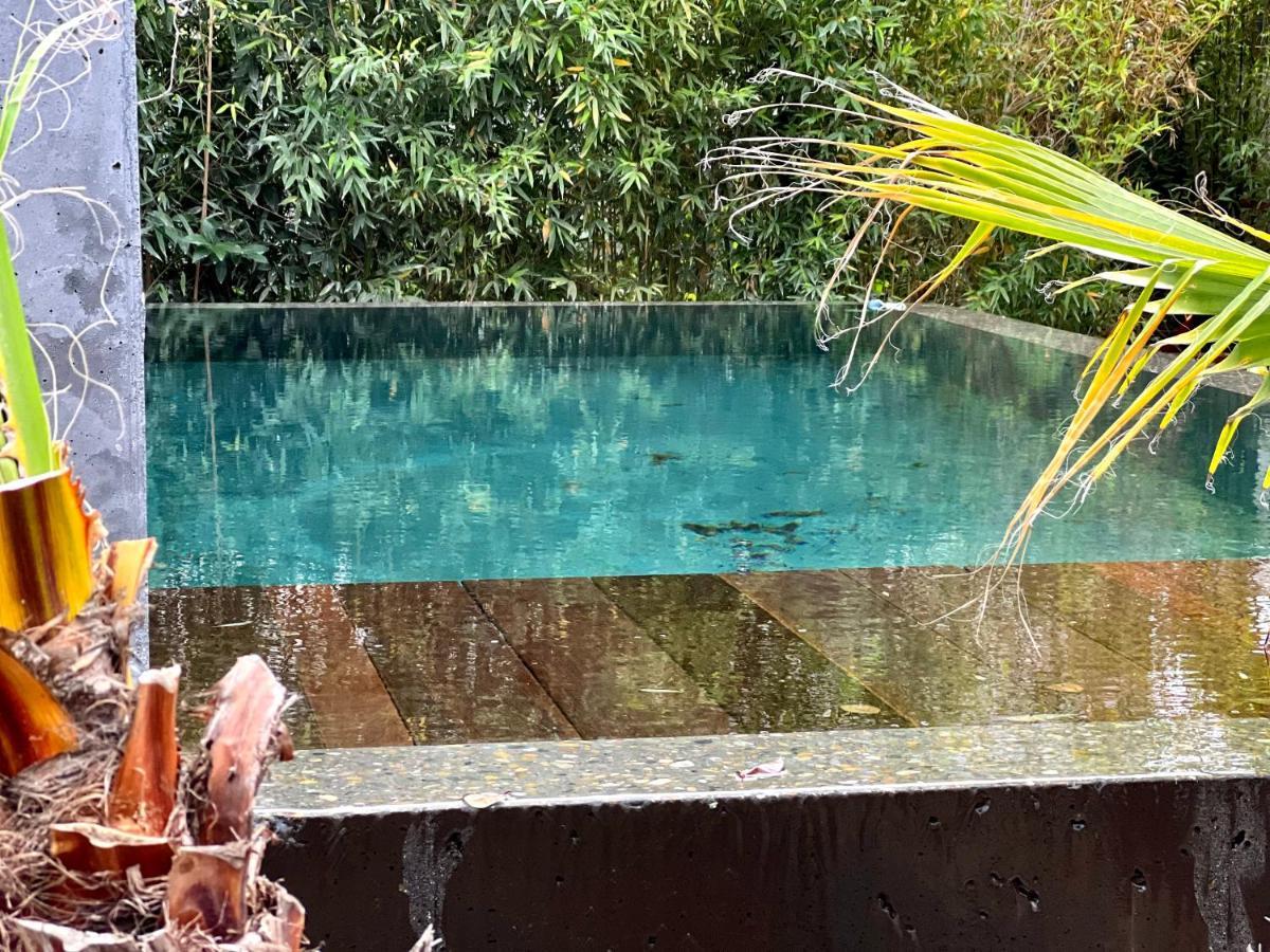 La Villa Canopee - Piscine Chauffee-Fibre-Clim-Jacuzzi Gujan-Mestras Eksteriør bilde